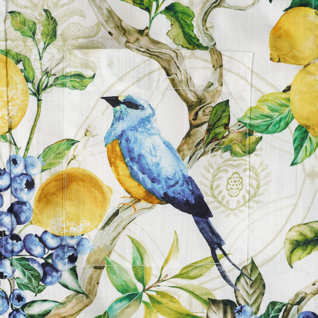 Men's Sicilian Lemon Shirt Button-down Hawaiian Shirt Short Sleeve 100% Cotton Sicilian Lemon Tree Fantasy By Huan huan